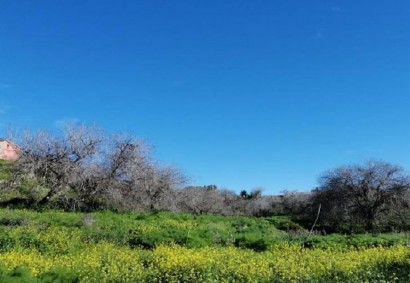 Tremithousa Terreno residencial Propiedad en Venta | C7636