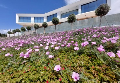 Paphos Town Villa independiente Propiedad en Venta | B5891