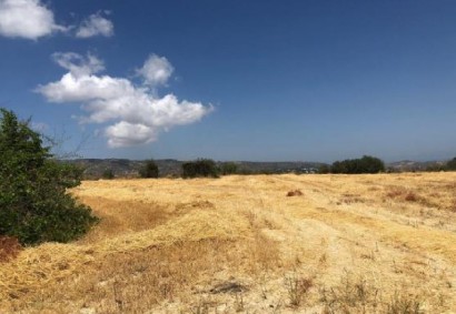 Stroumpi Pano Tierras Agrícolas Propiedad en Venta | C8364