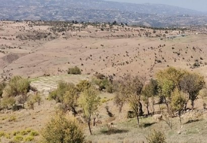 Faleia, Paphos Tierras Agrícolas Propiedad en Venta | C8493
