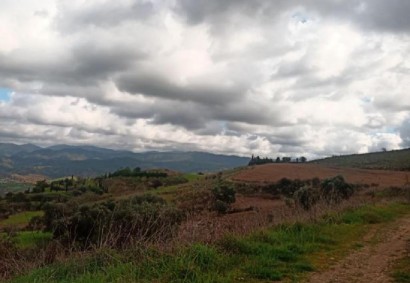 Simou, Polis Tierras Agrícolas Propiedad en Venta | C8520