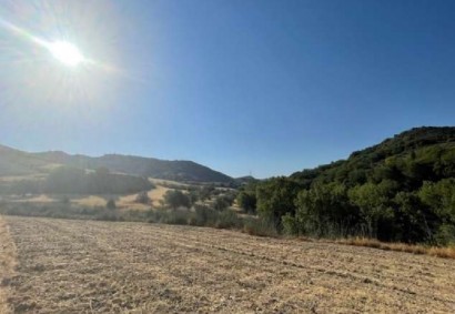Giolou, Polis Tierras Agrícolas Propiedad en Venta | C8522