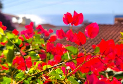 Kissonerga Villa independiente Propiedad en Venta | BK10381