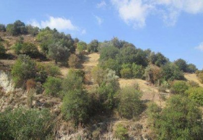 Kallepeia Tierras Agrícolas Propiedad en Venta | C11057