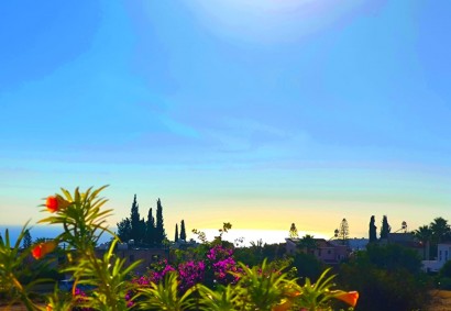 Pegeia Villa independiente Propiedad en Venta | C11734
